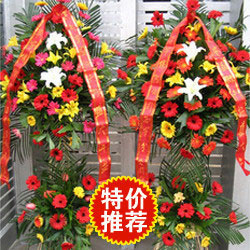 開業(yè)慶典花籃(1個)